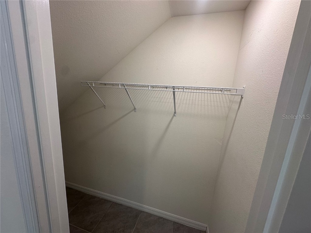 16626 Mosaic Oar Drive Wimauma FL 33598 S5140325 image20