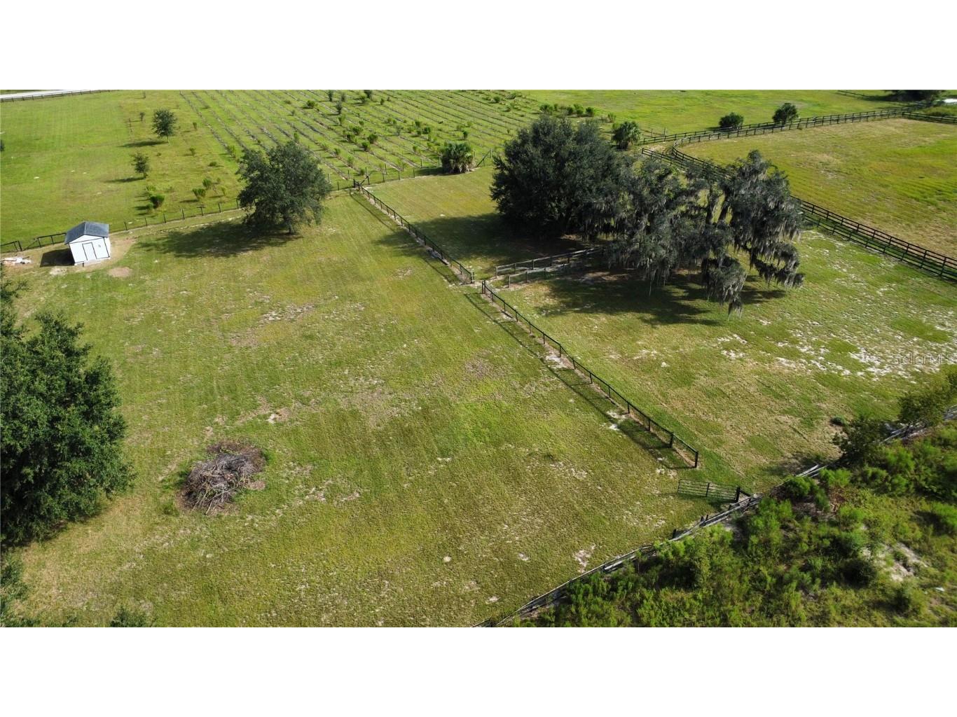 16629 SE 19th Court Summerfield FL 34491 O6346573 image1