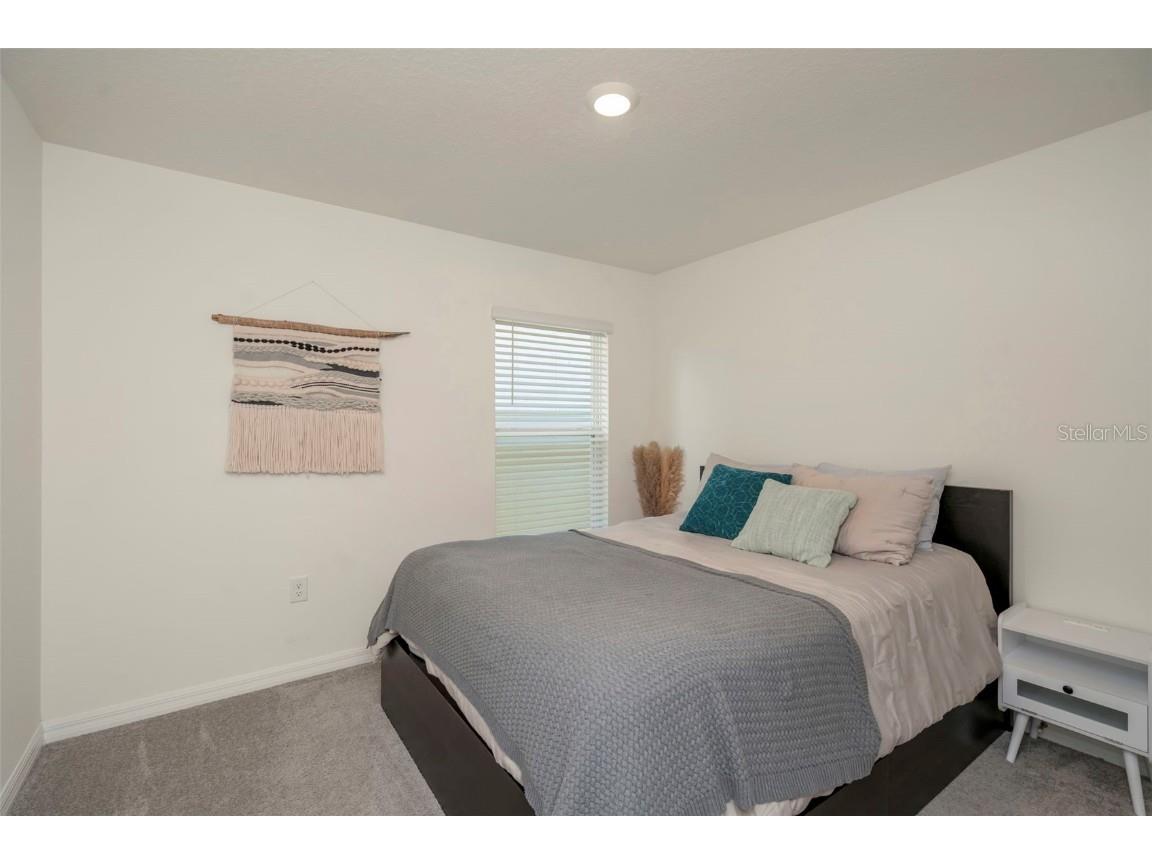 16631 Windmill Forge Pass Wimauma FL 33598 TB8450705 image21