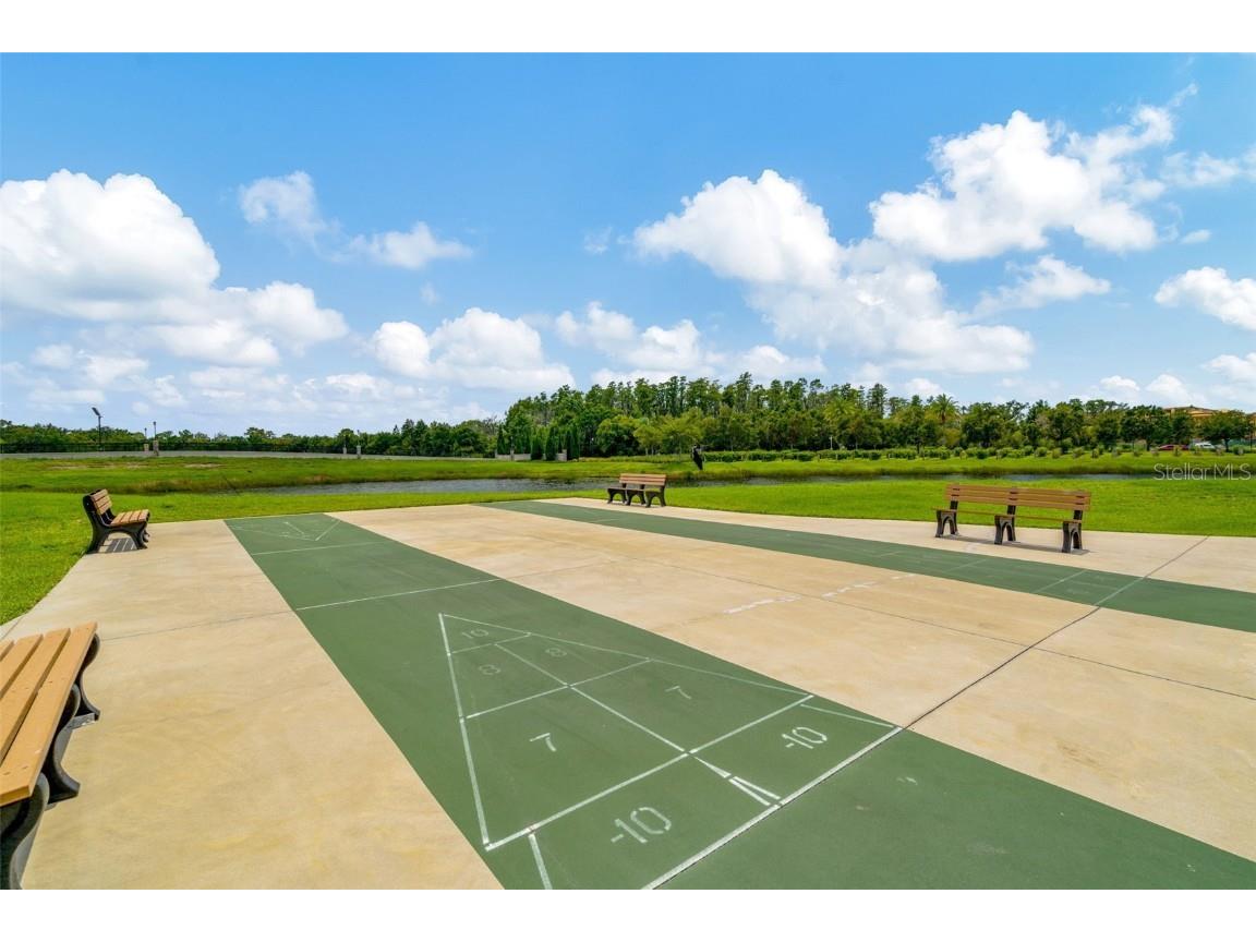 16631 Windmill Forge Pass Wimauma FL 33598 TB8450705 image44