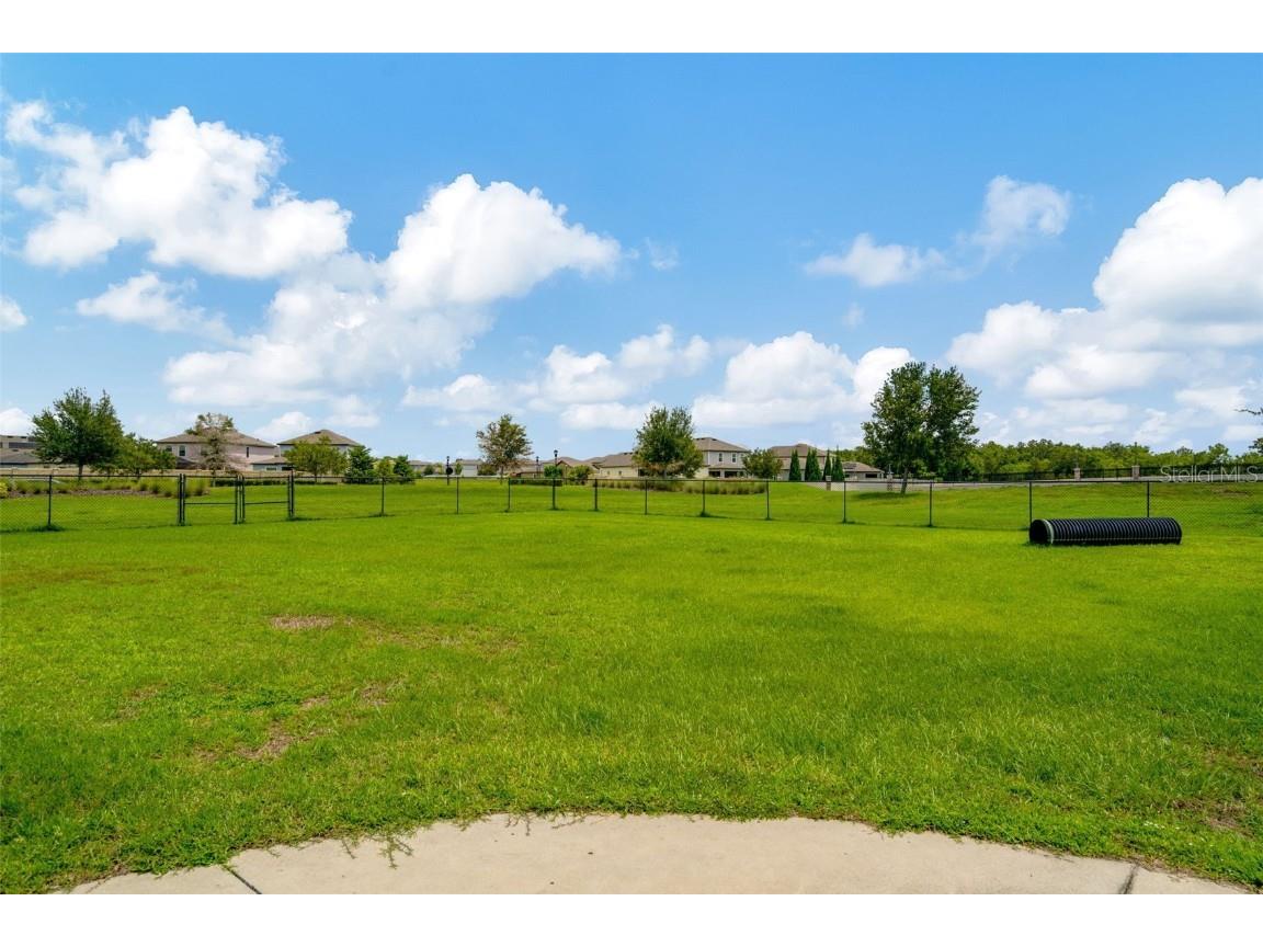 16631 Windmill Forge Pass Wimauma FL 33598 TB8450705 image45