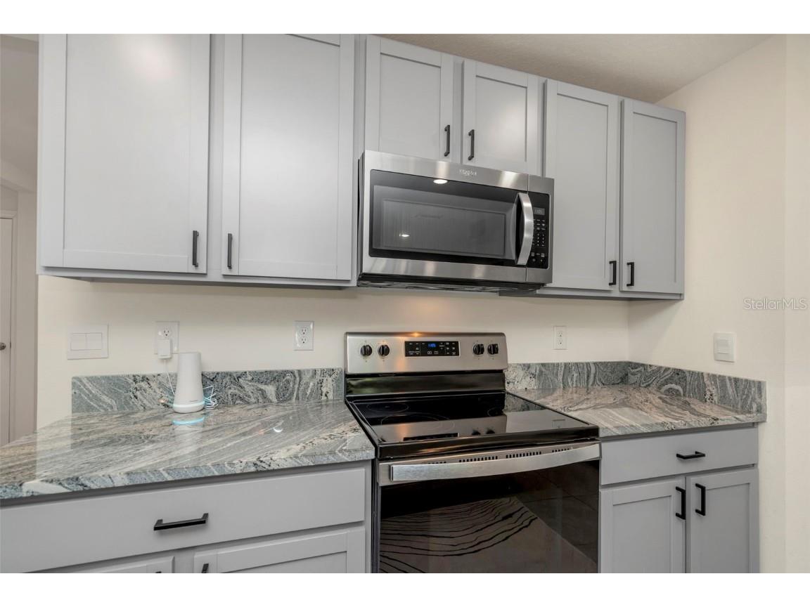 16631 Windmill Forge Pass Wimauma FL 33598 TB8450705 image9