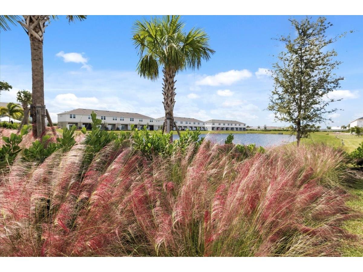 16632 Bergamo Place Bradenton FL 34211 A4695435 image46