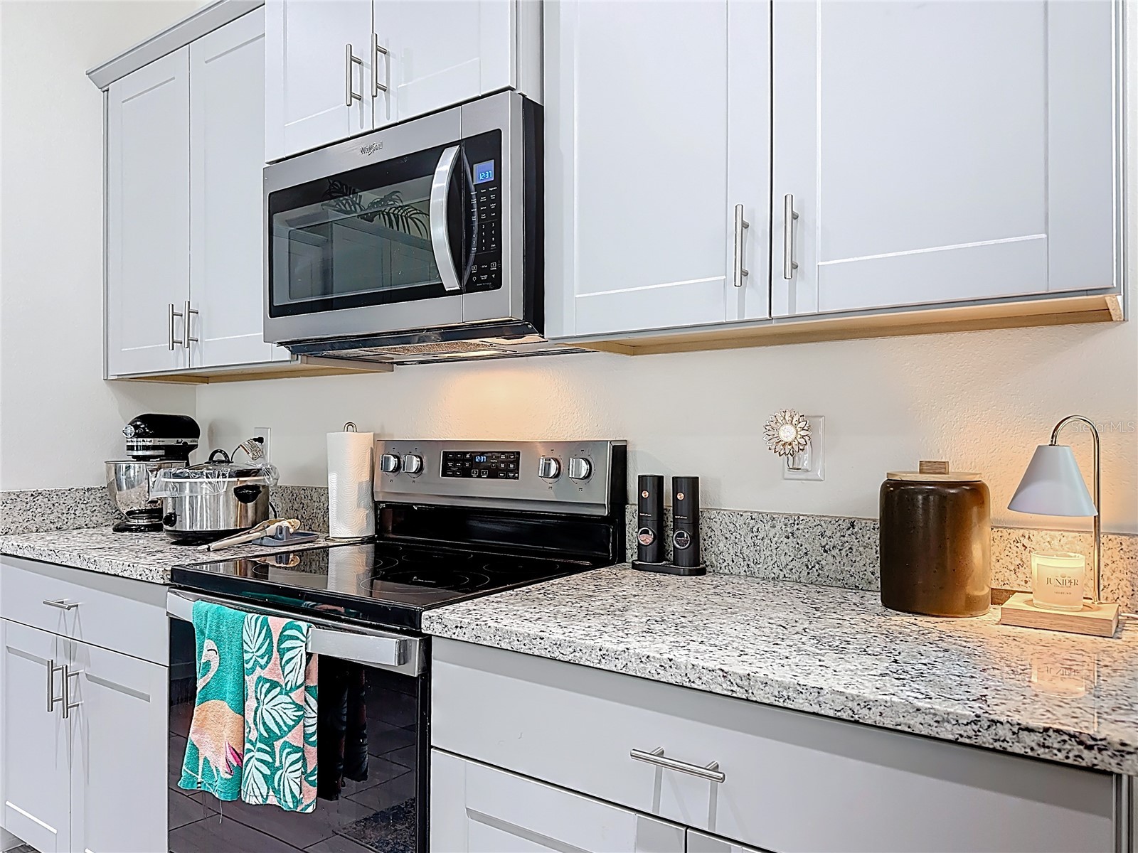 16632 Point Rock Drive Winter Garden FL 34787 OM715702 image17