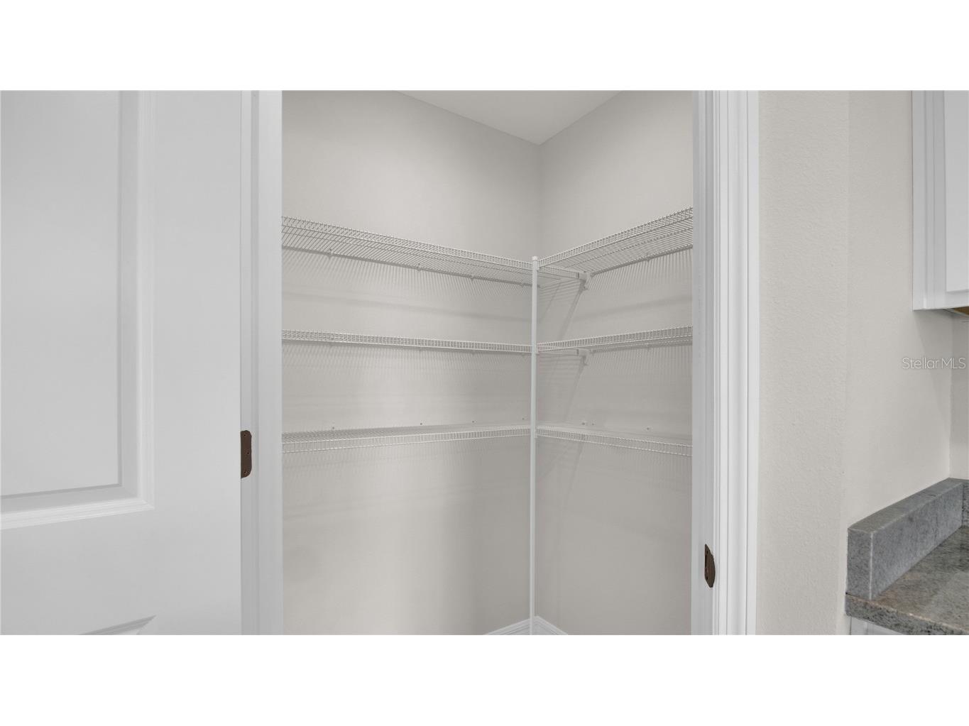 16632 Windmill Forge Pass Wimauma FL 33598 TB8457259 image5