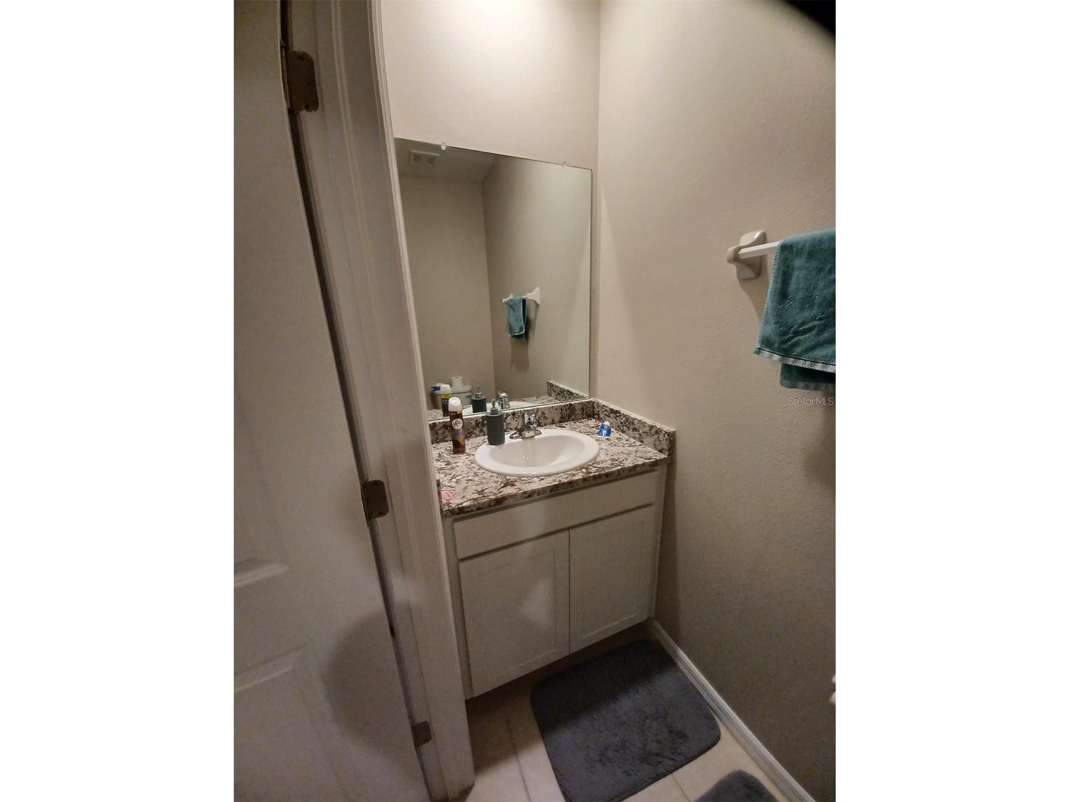 16634 Mooner Plank Circle Wimauma FL 33598 TB8488956 image11