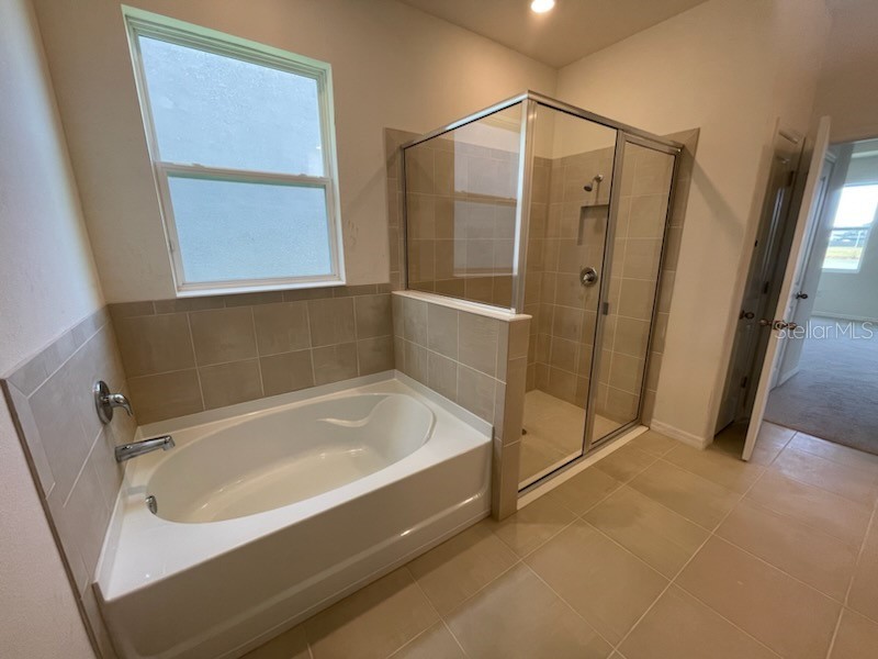 16634 Mooner Plank Circle Wimauma FL 33598 TB8488956 image18