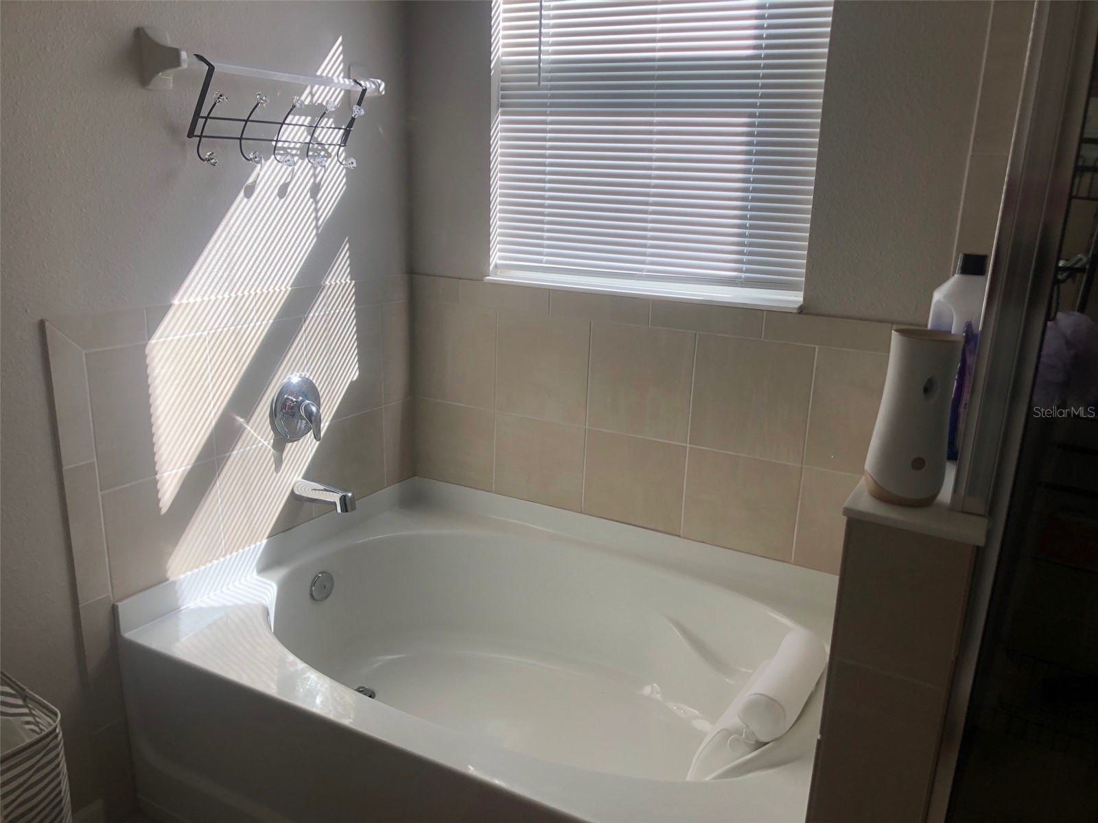 16634 Mooner Plank Circle Wimauma FL 33598 TB8488956 image19