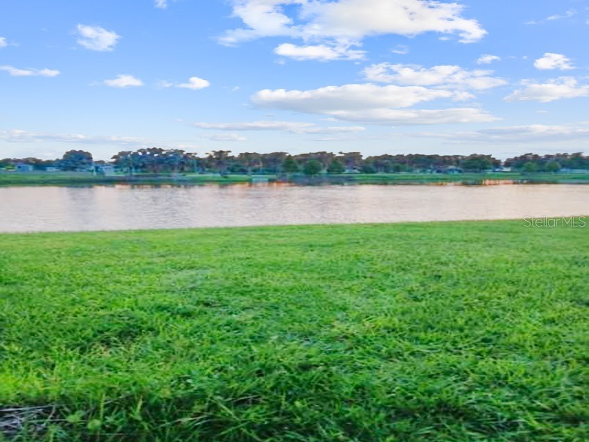 16634 Mooner Plank Circle Wimauma FL 33598 TB8488956 image21