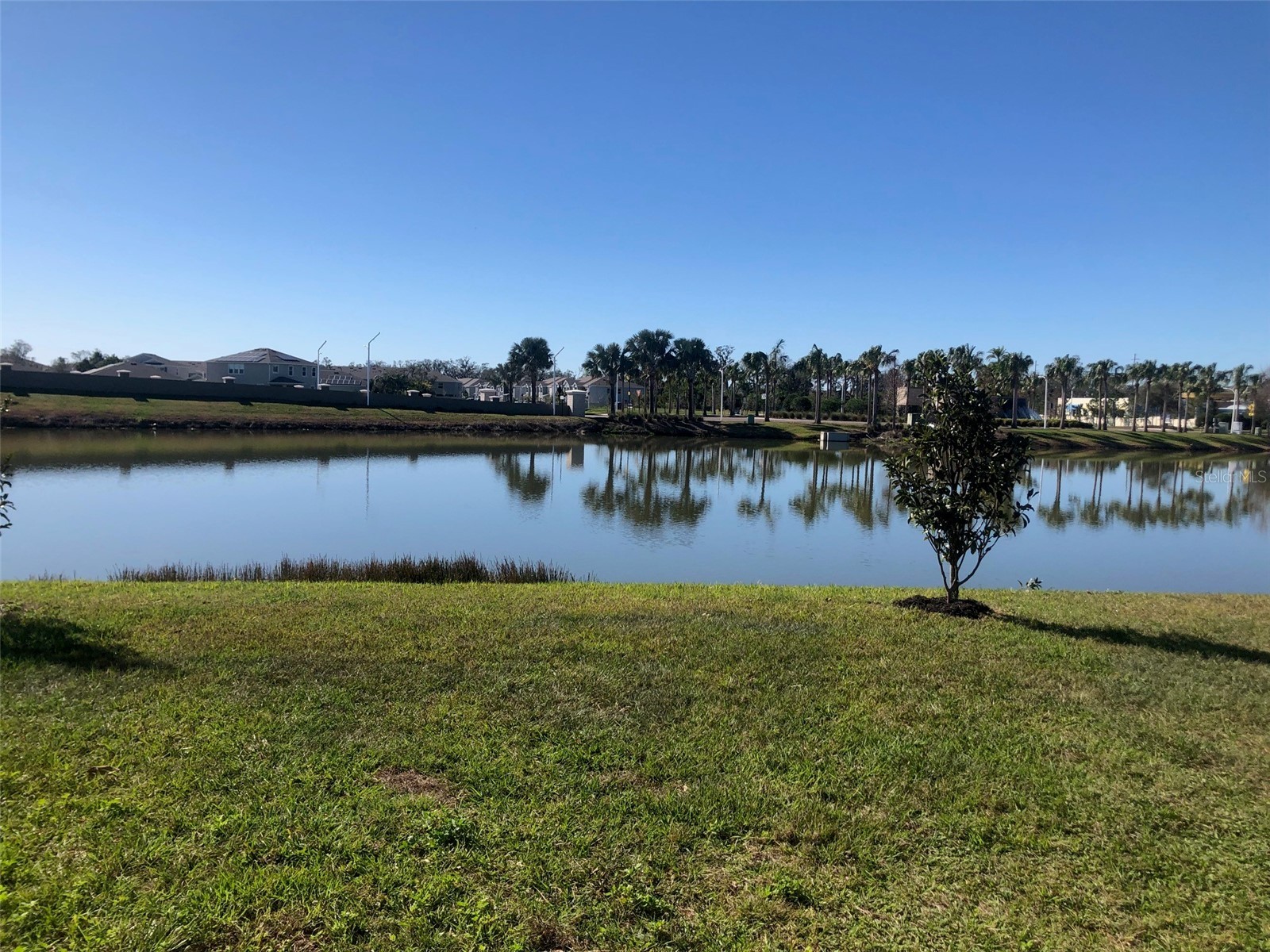 16634 Mooner Plank Circle Wimauma FL 33598 TB8488956 image22