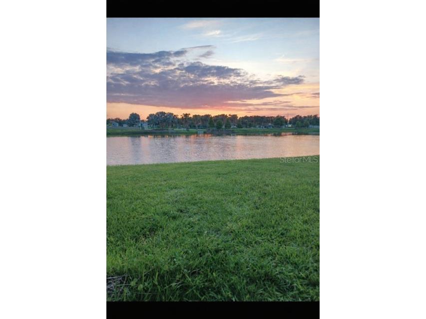 16634 Mooner Plank Circle Wimauma FL 33598 TB8488956 image23