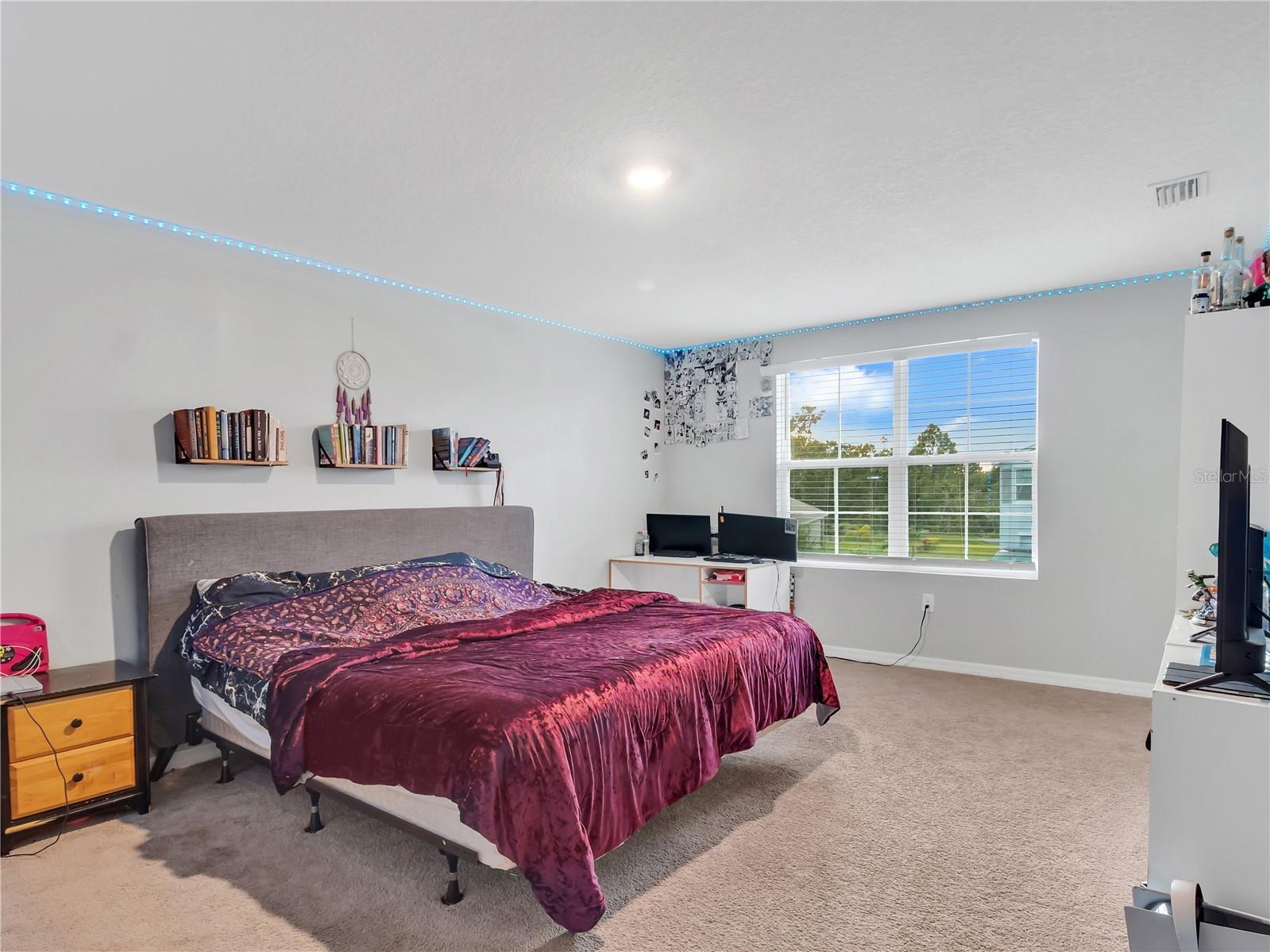 16636 Windmill Forge Pass Wimauma FL 33598 TB8499846 image28