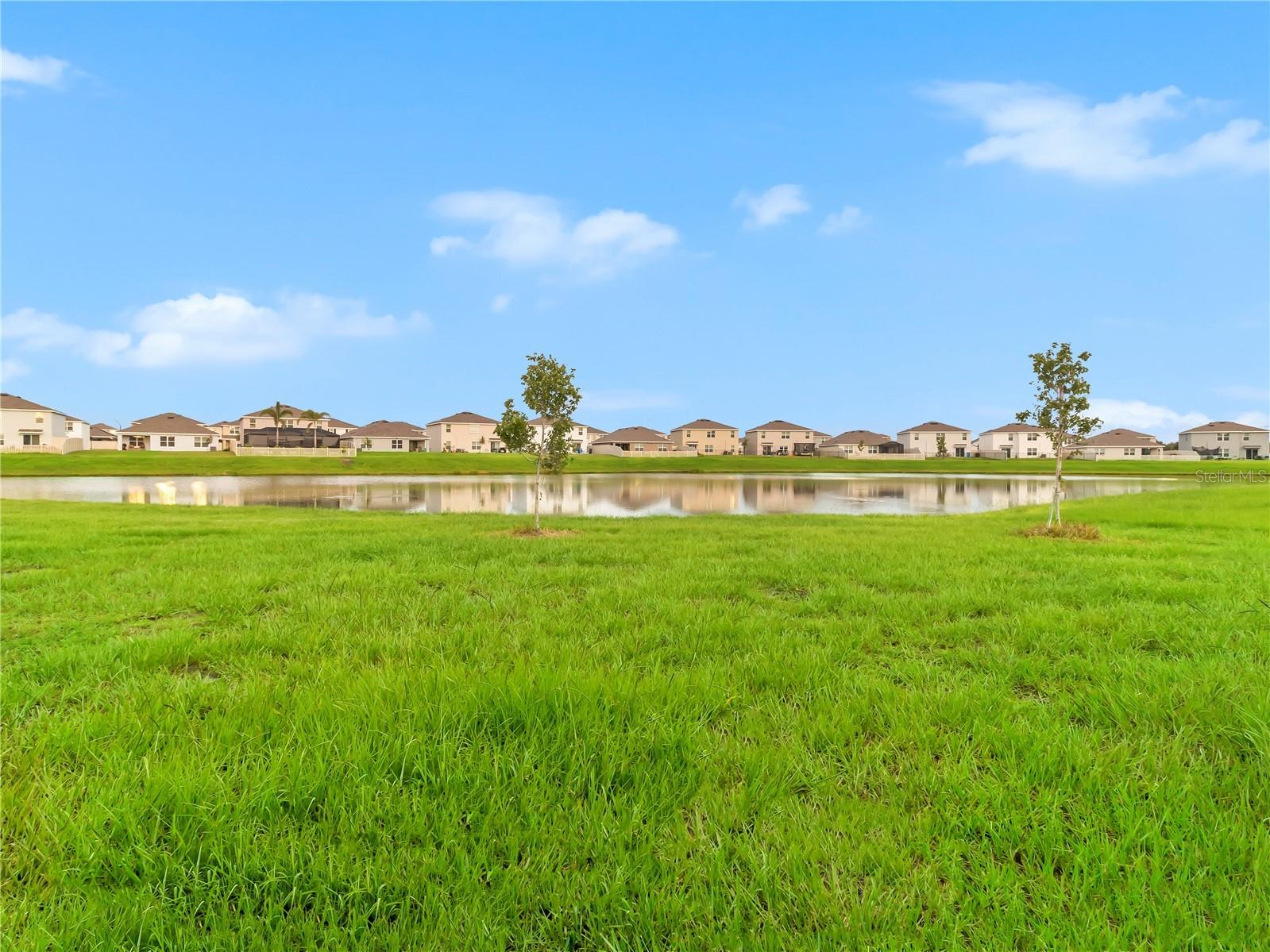 16636 Windmill Forge Pass Wimauma FL 33598 TB8499846 image30