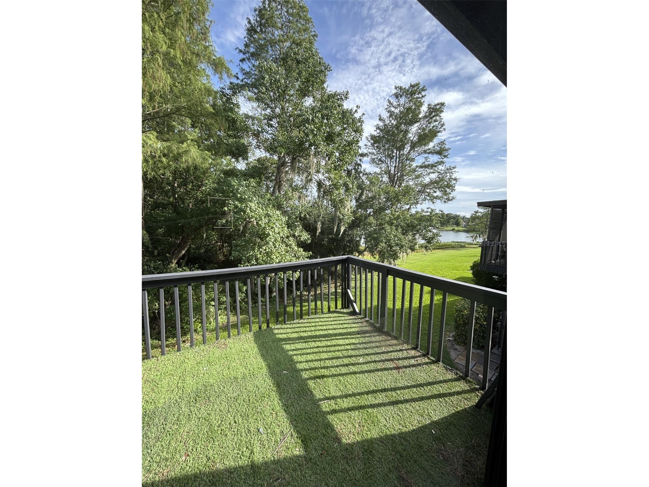 16638 Brigadoon Drive Tampa FL 33618 TB8530673 image16