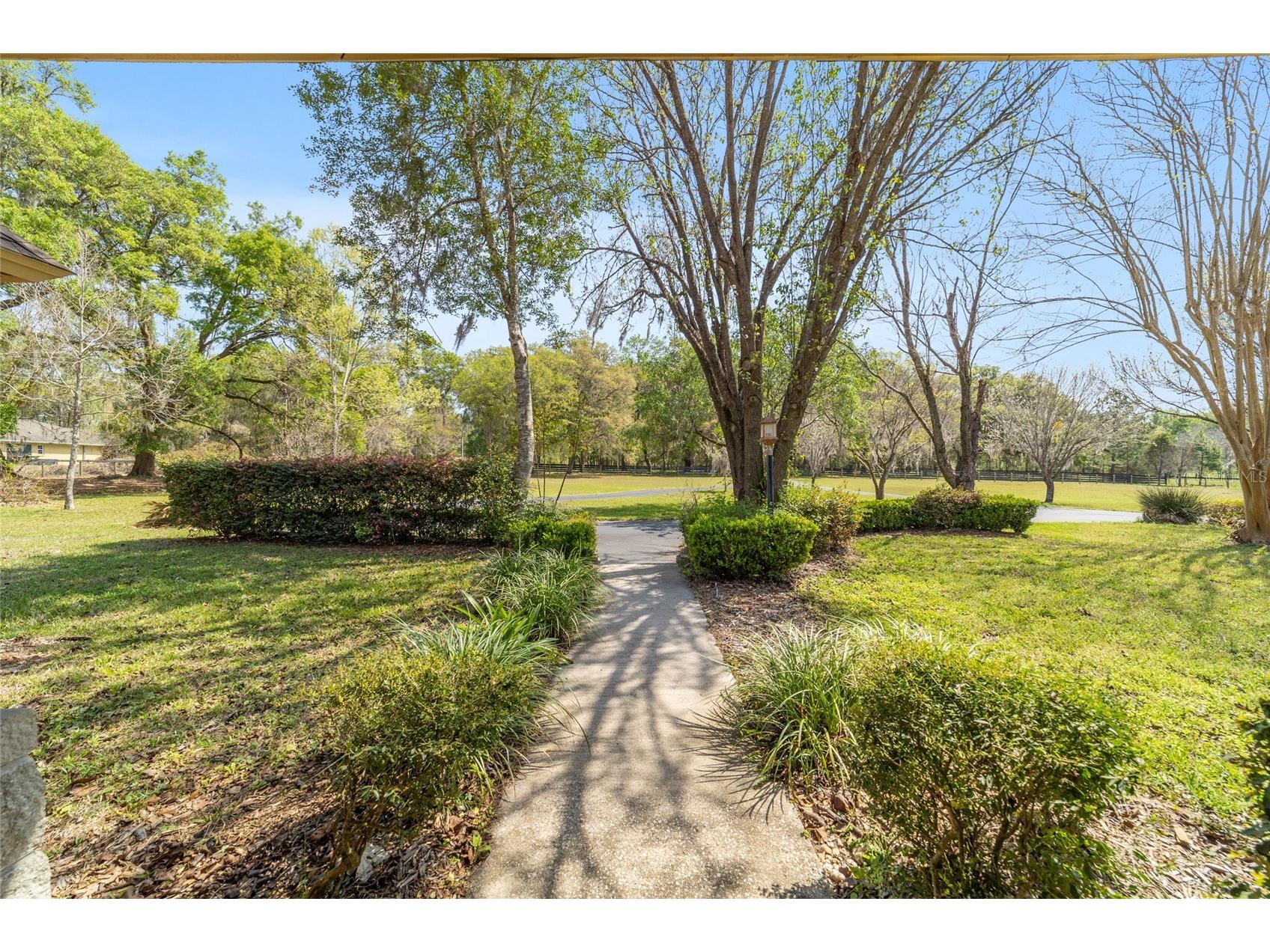 16638 N Highway 329 Reddick FL 32686 OM721425 image14