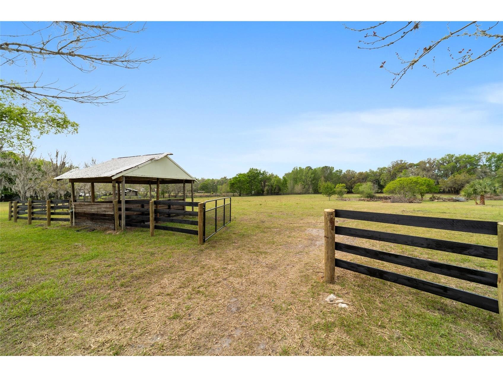 16638 N Highway 329 Reddick FL 32686 OM721425 image76
