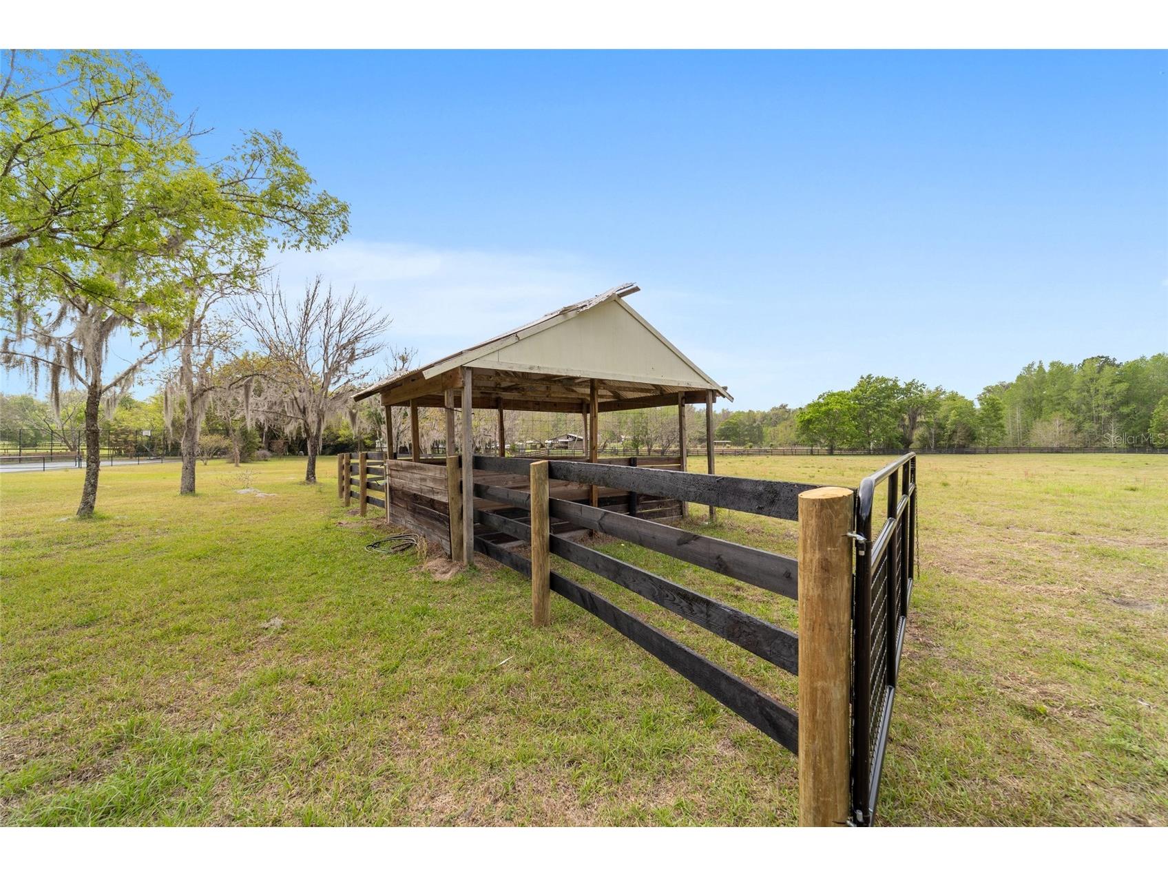 16638 N Highway 329 Reddick FL 32686 OM721425 image77