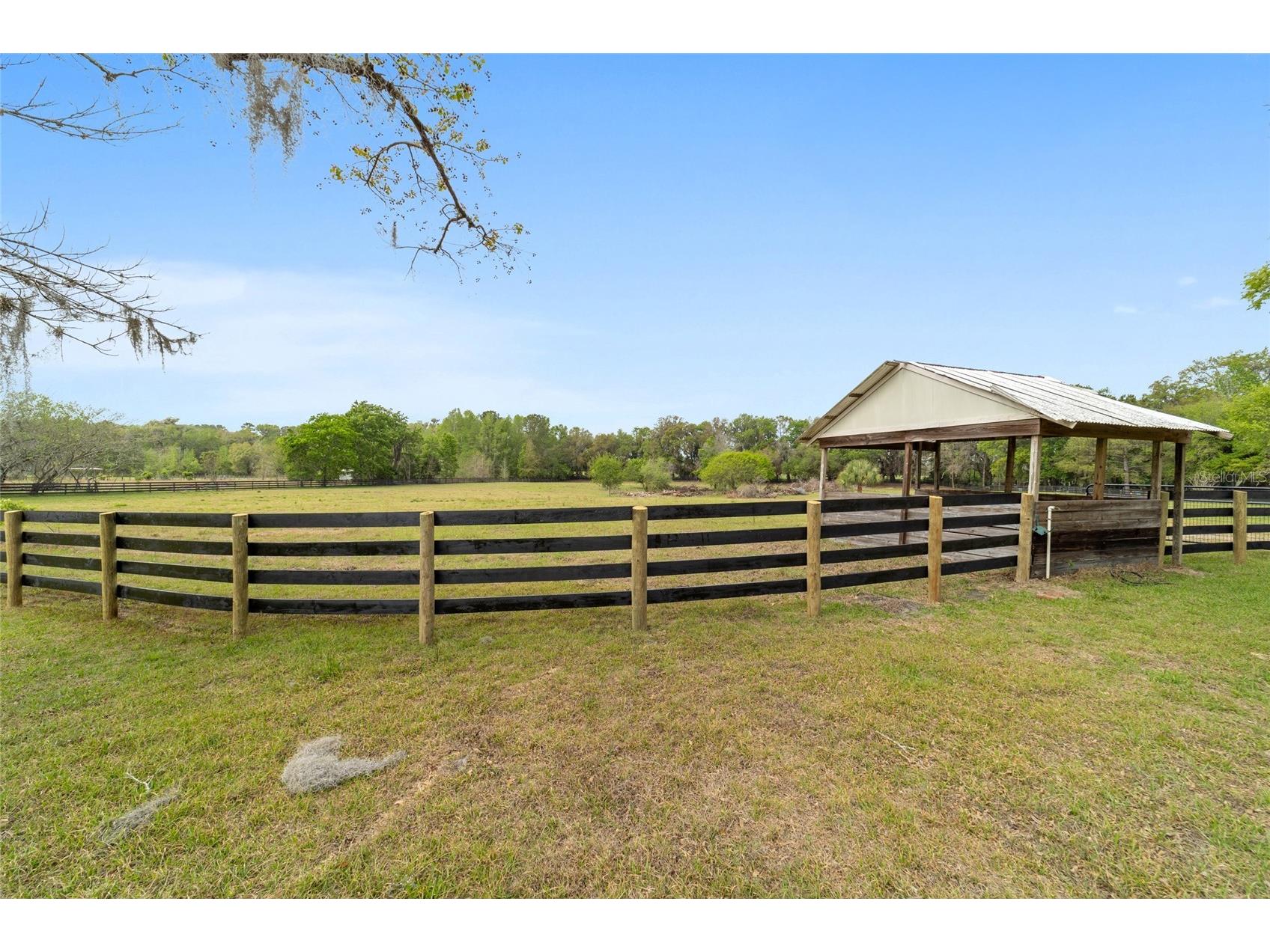 16638 N Highway 329 Reddick FL 32686 OM721425 image78