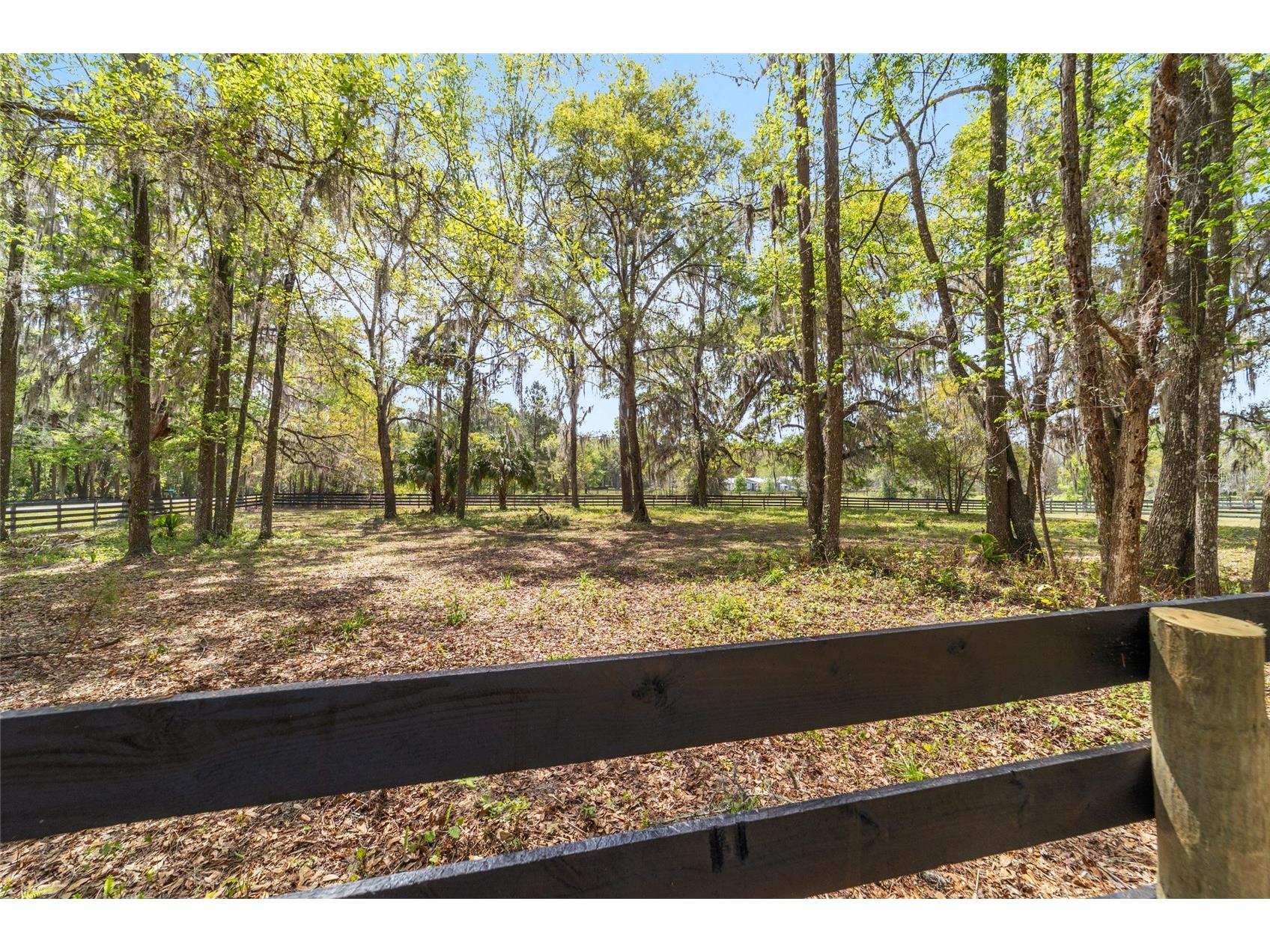 16638 N Highway 329 Reddick FL 32686 OM721425 image81