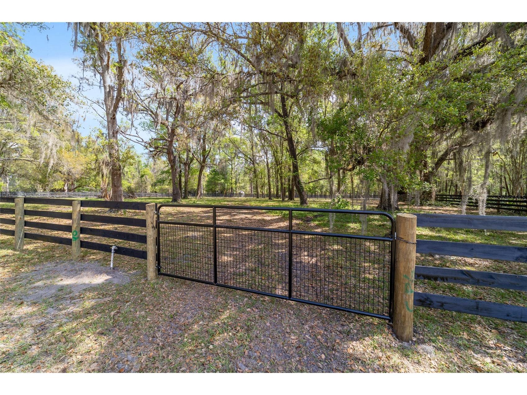 16638 N Highway 329 Reddick FL 32686 OM721425 image82