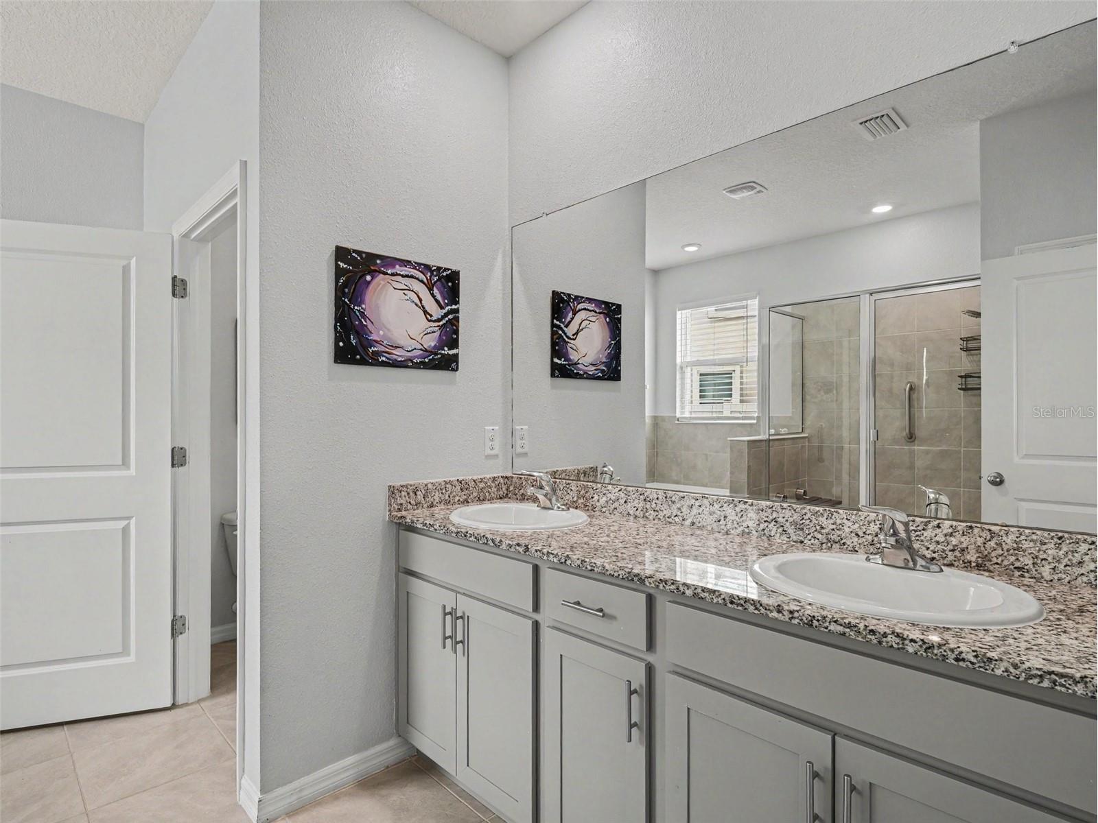 16639 Goose Ribbon Place Wimauma FL 33598 TB8514442 image11