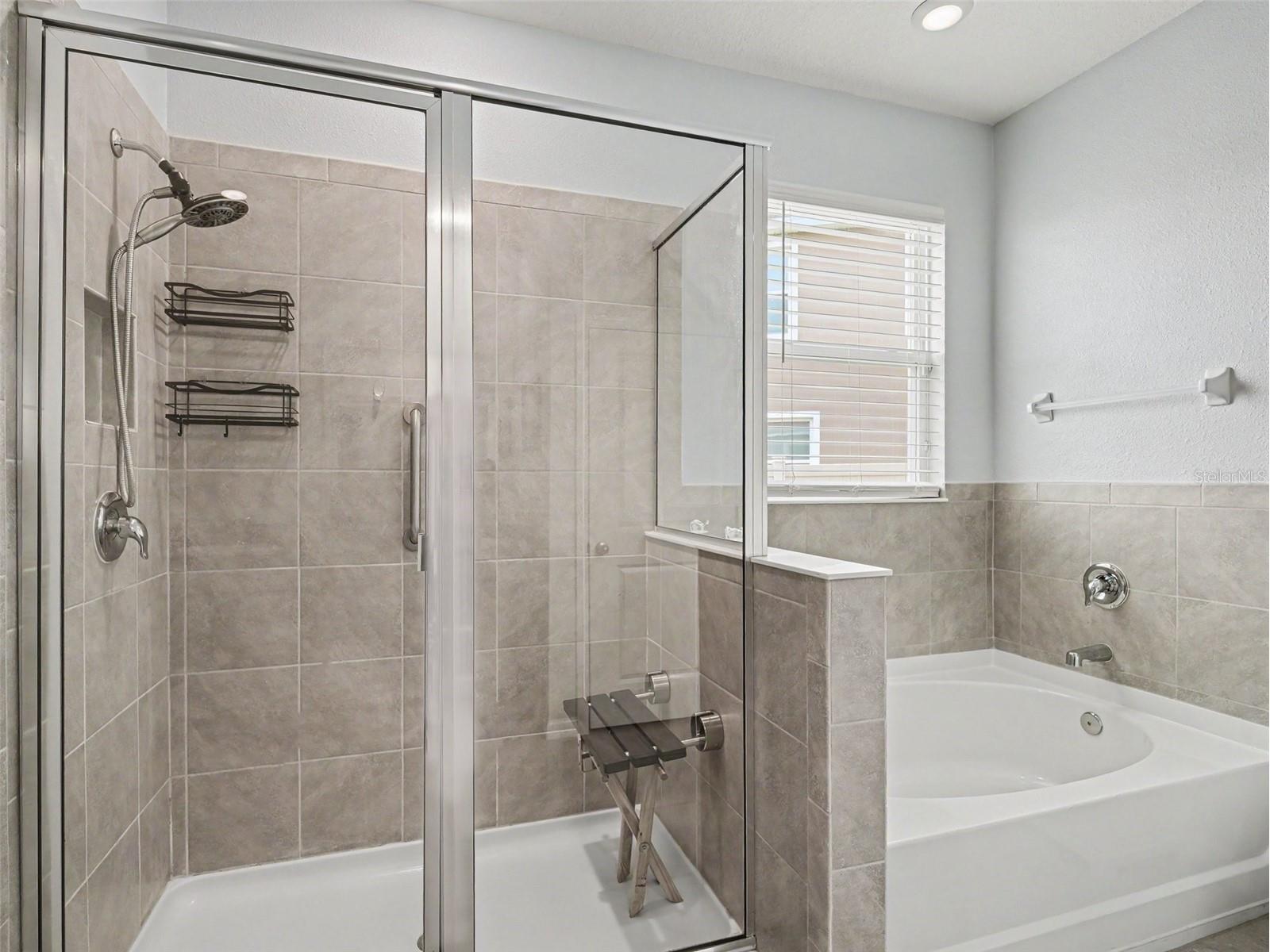 16639 Goose Ribbon Place Wimauma FL 33598 TB8514442 image12