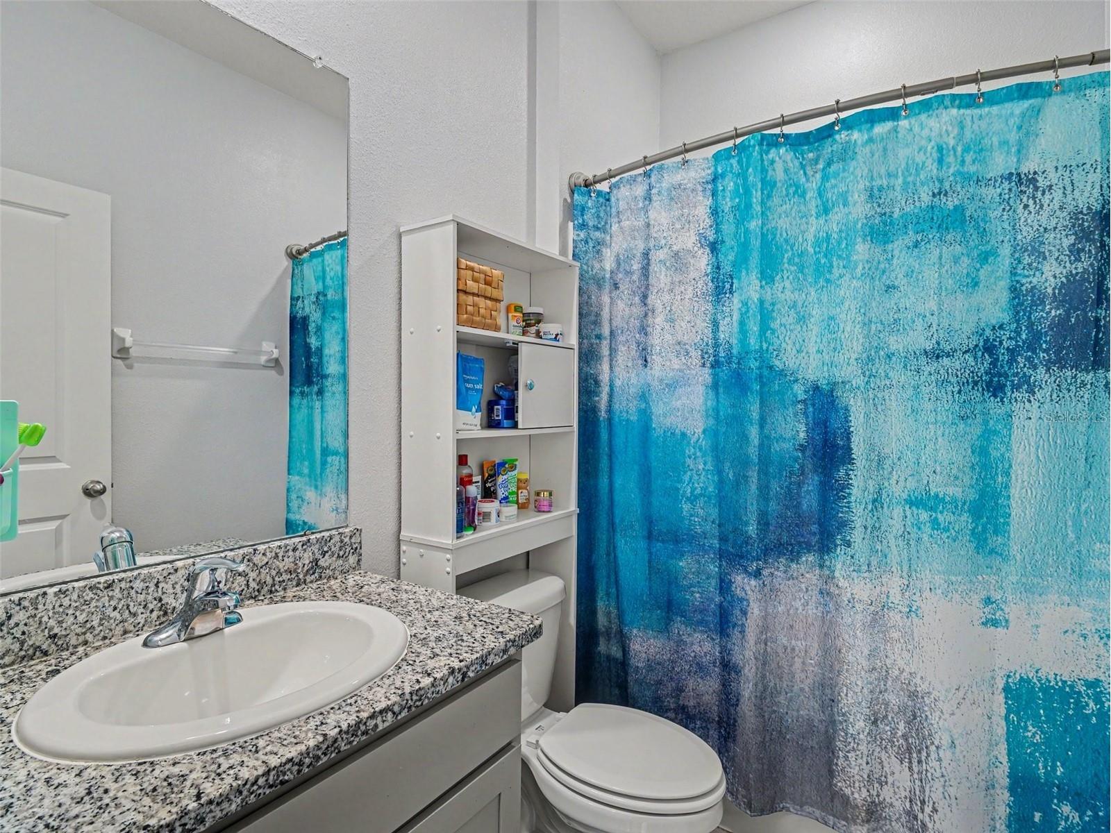 16639 Goose Ribbon Place Wimauma FL 33598 TB8514442 image14