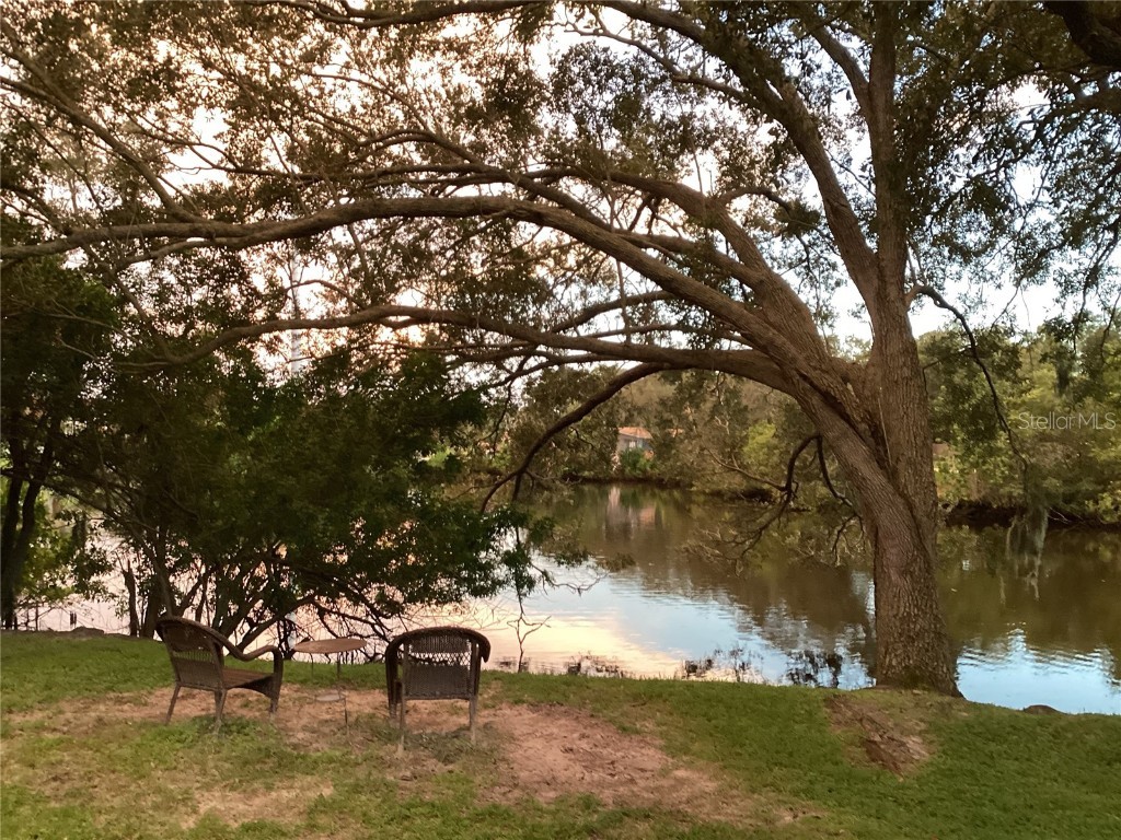 1664 Bravo Drive Clearwater FL 33764 - ALLEN'S CREEK U8182683 image1