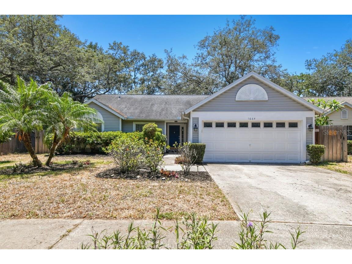 1664 Countrywood Street Tarpon Springs FL 34689 T3533429 image1