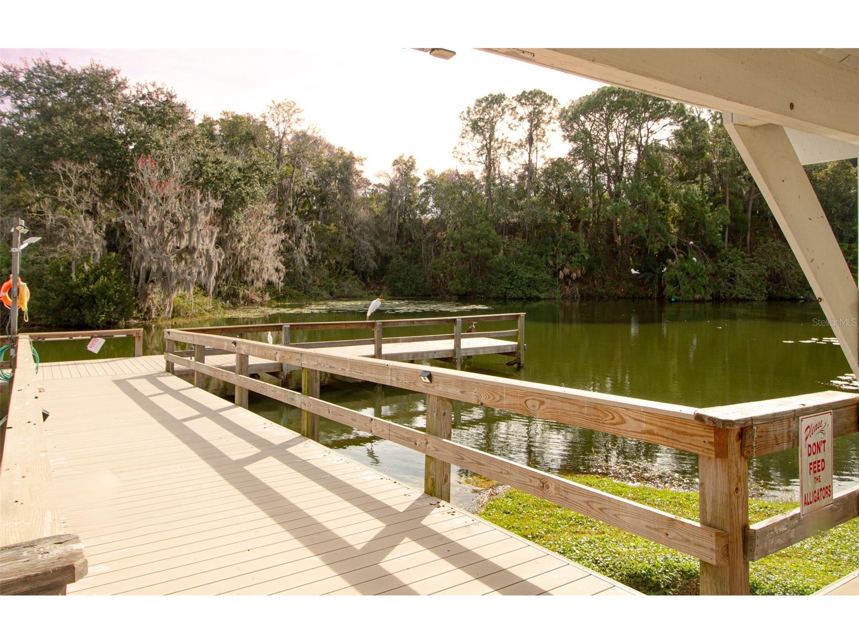 1664 Elkhart Circle Tavares FL 32778 - Lake Frances G5106111 image38