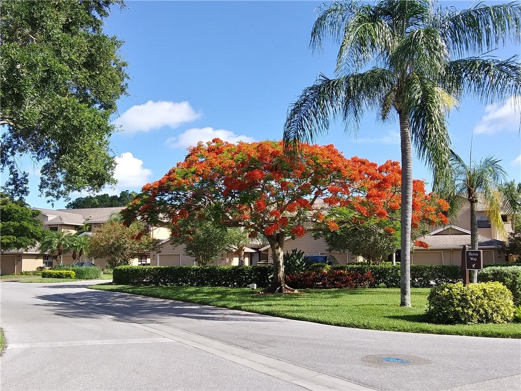1664 Starling Drive #101 Sarasota FL 34231 A4684500 image49
