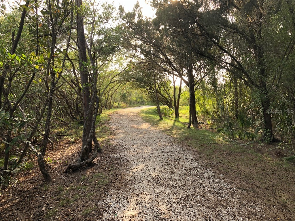 1664 Starling Drive #101 Sarasota FL 34231 A4684500 image52