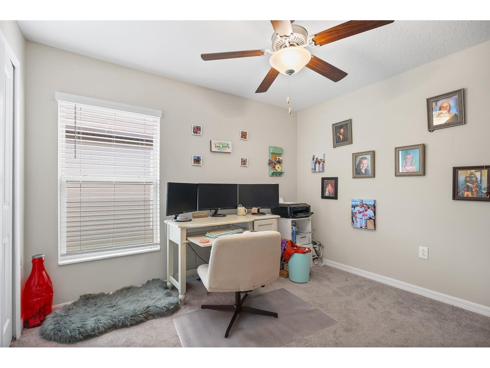 16640 Carlton Pond Street Wimauma FL 33598 TB8480077 image24