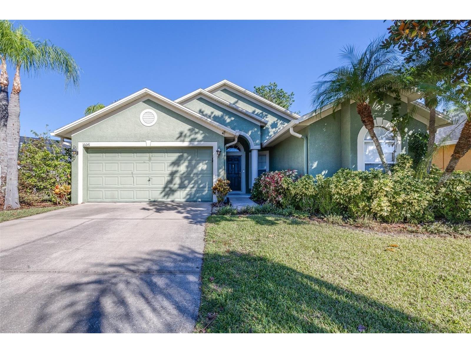 16641 Fairbolt Way Odessa FL 33556 TB8511512 image4