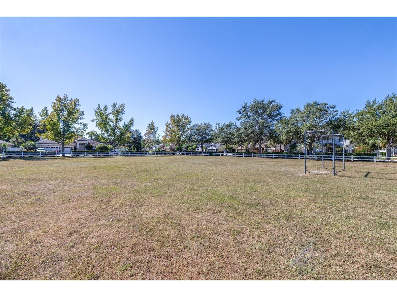 16641 Fairbolt Way Odessa FL 33556 TB8511512 image42