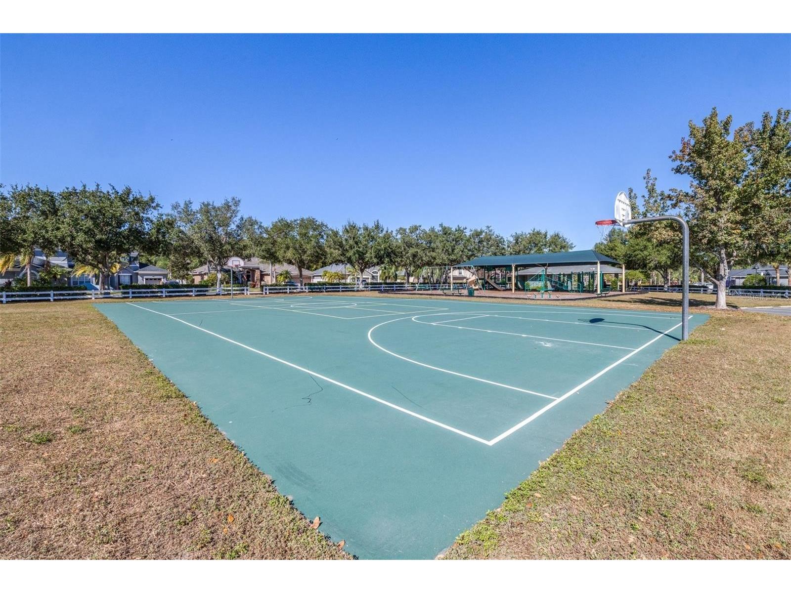 16641 Fairbolt Way Odessa FL 33556 TB8511512 image44