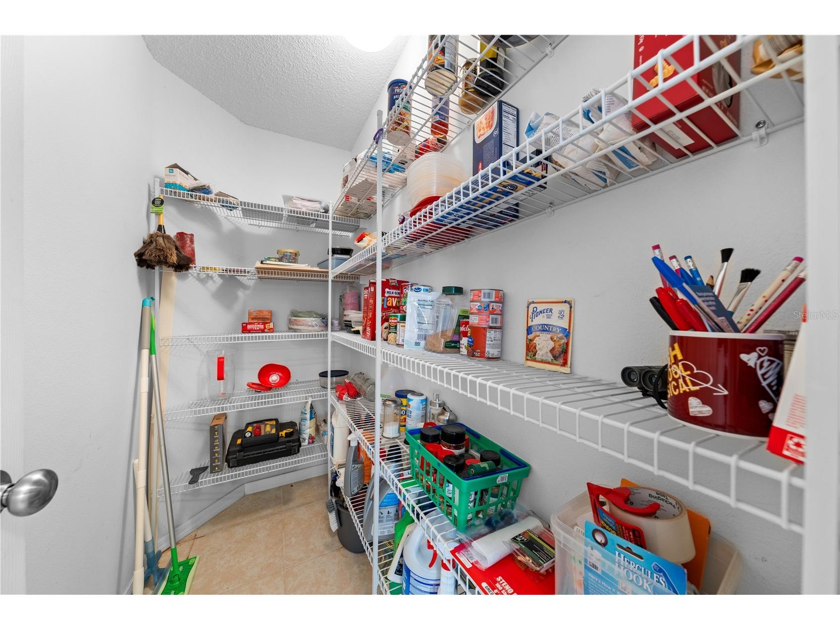 16641 Sunrise Vista Drive Clermont FL 34714 S5147973 image28