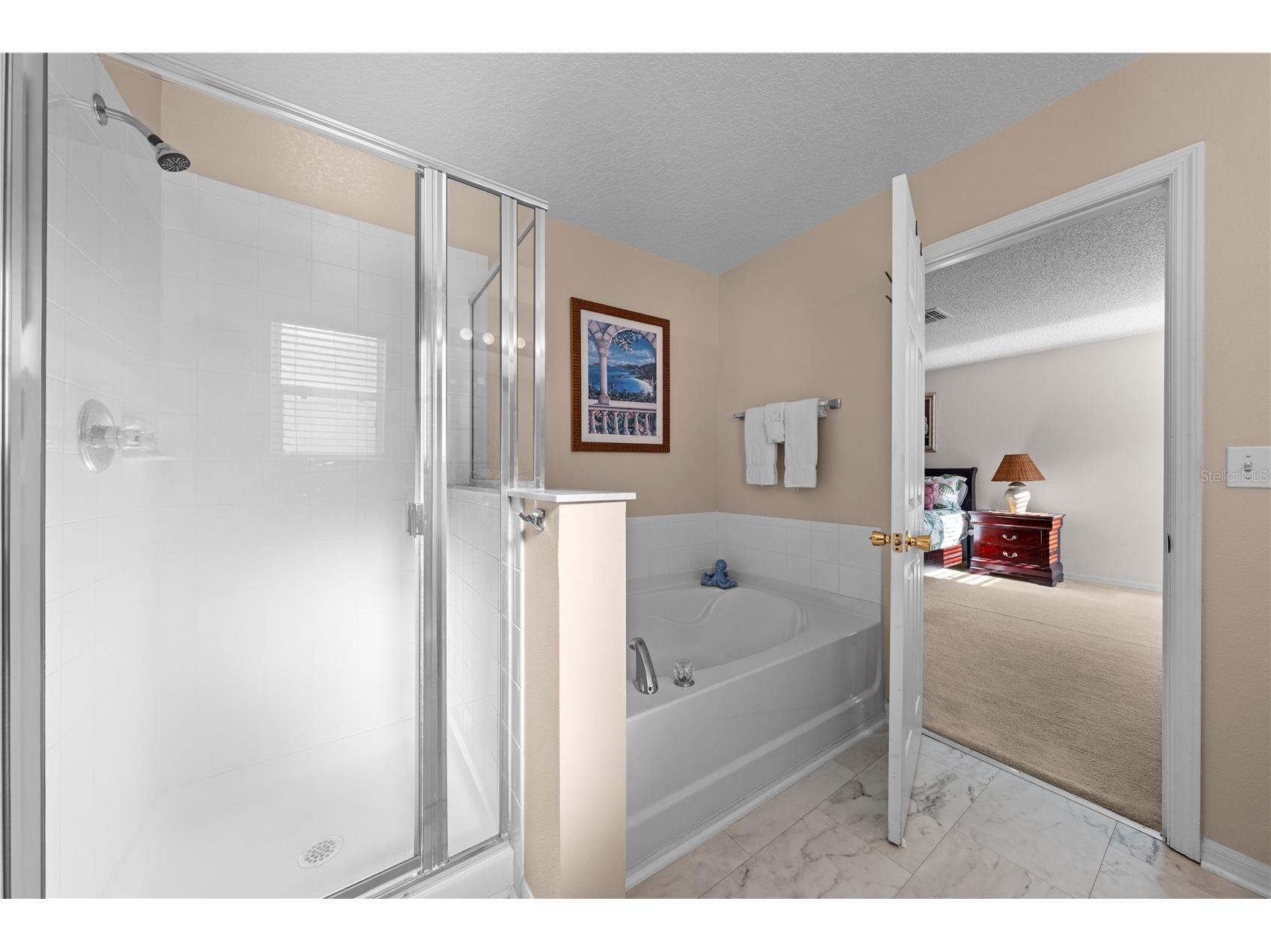 16641 Sunrise Vista Drive Clermont FL 34714 S5147973 image37