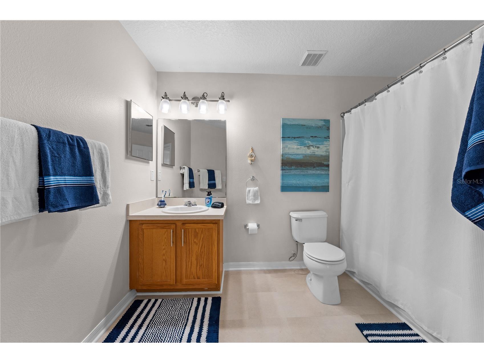 16641 Sunrise Vista Drive Clermont FL 34714 S5147973 image41