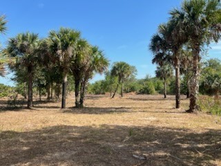 16642 NW 286th Street Okeechobee FL 34972 OK225139 image1