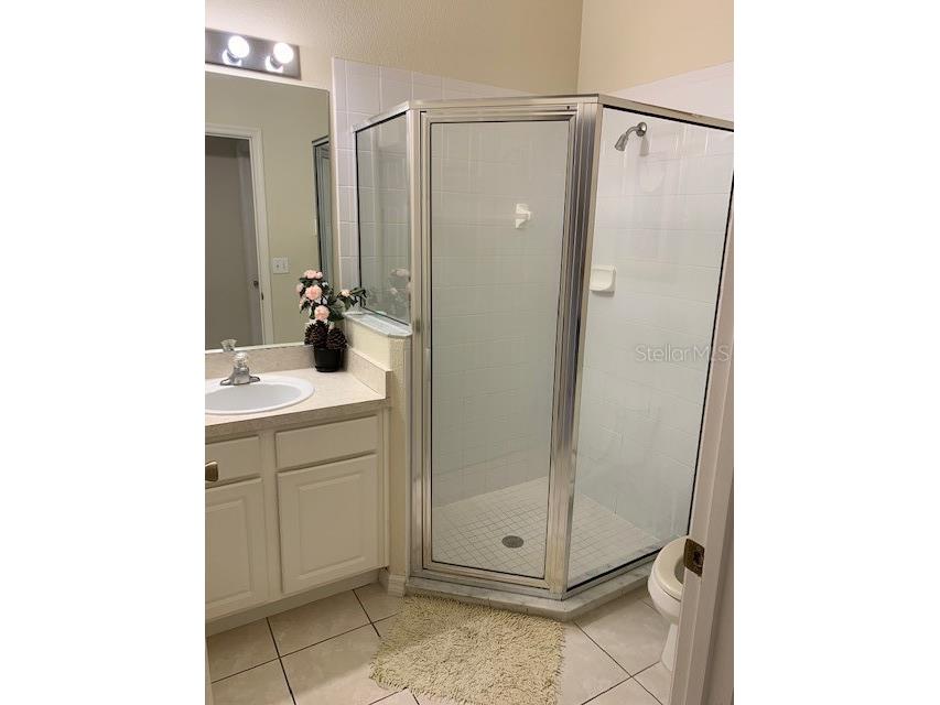 16644 Fresh Meadow Drive Clermont FL 34714 S5145027 image10