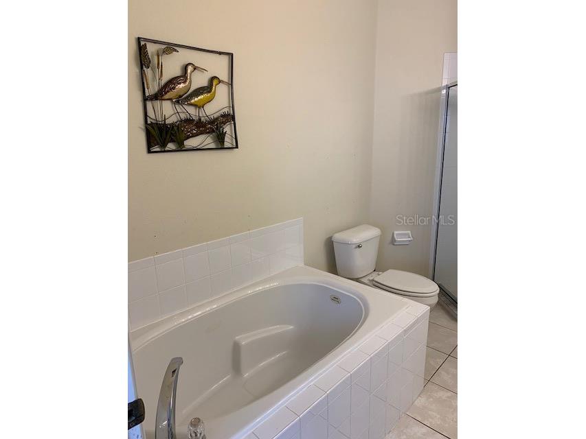 16644 Fresh Meadow Drive Clermont FL 34714 S5145027 image19