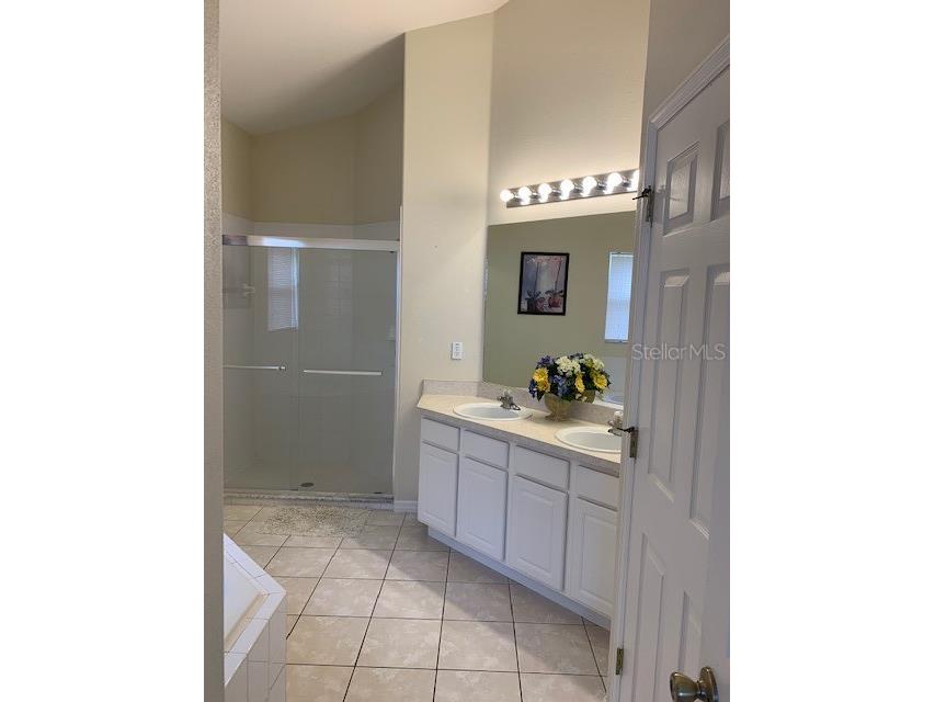 16644 Fresh Meadow Drive Clermont FL 34714 S5145027 image5