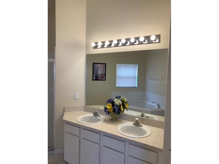 16644 Fresh Meadow Drive Clermont FL 34714 S5145027 image6