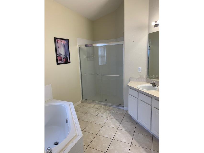 16644 Fresh Meadow Drive Clermont FL 34714 S5145027 image7