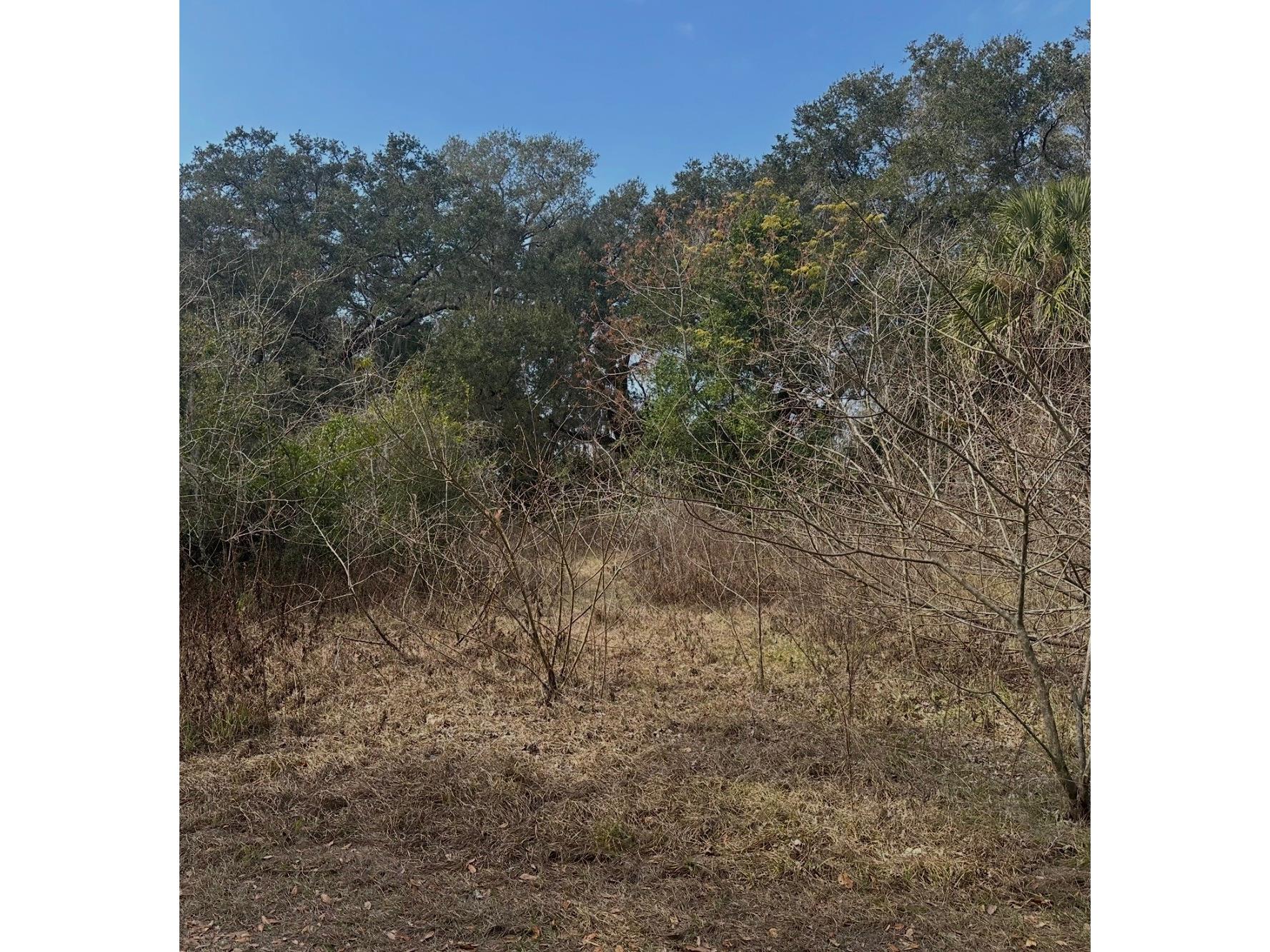 16644 SE 134th Terrace Weirsdale FL 32195 O6398063 image1