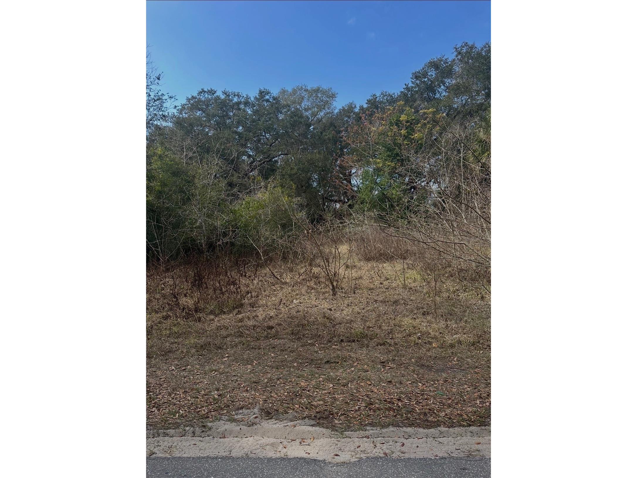 16644 SE 134th Terrace Weirsdale FL 32195 O6398063 image2