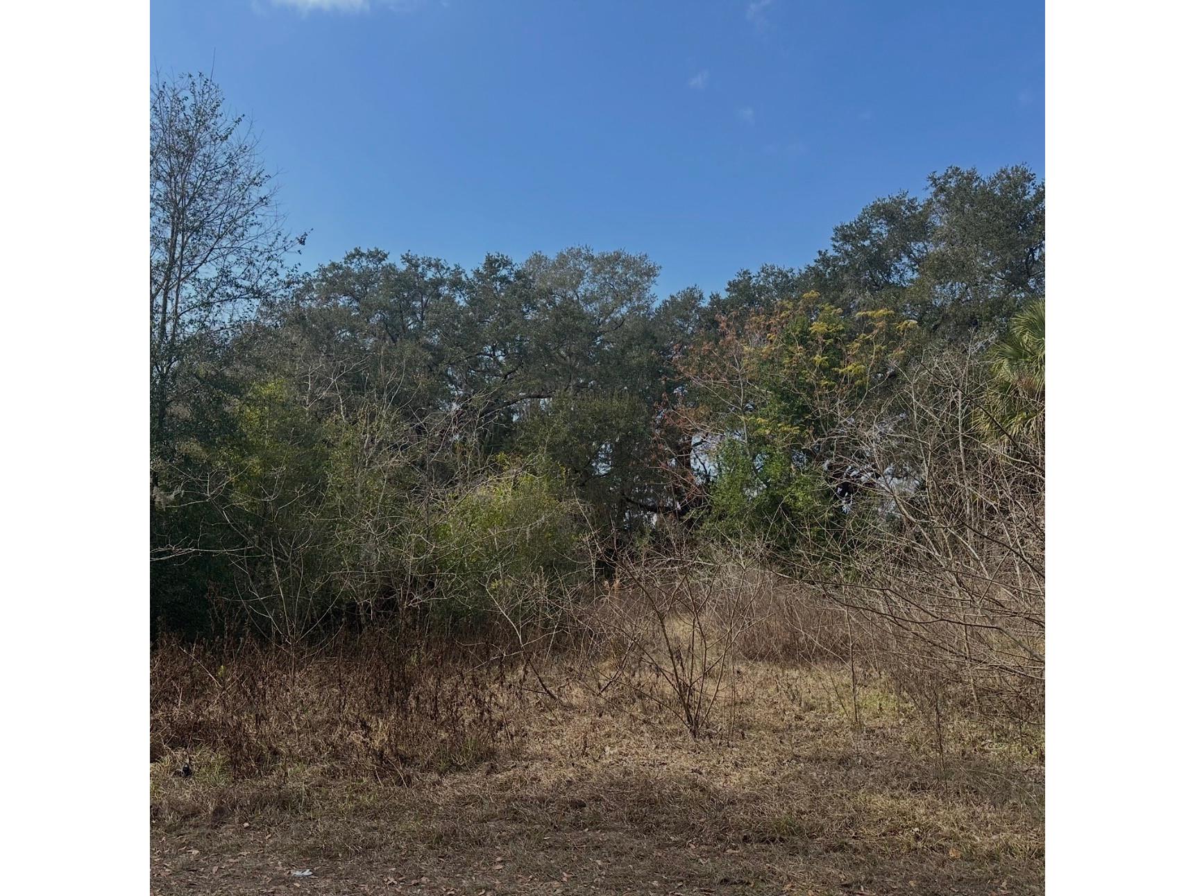 16644 SE 134th Terrace Weirsdale FL 32195 O6398063 image3