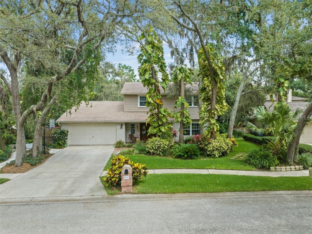 16645 Vallely Drive Tampa FL 33618 - LAKE ZAMBITO T3445675 image1