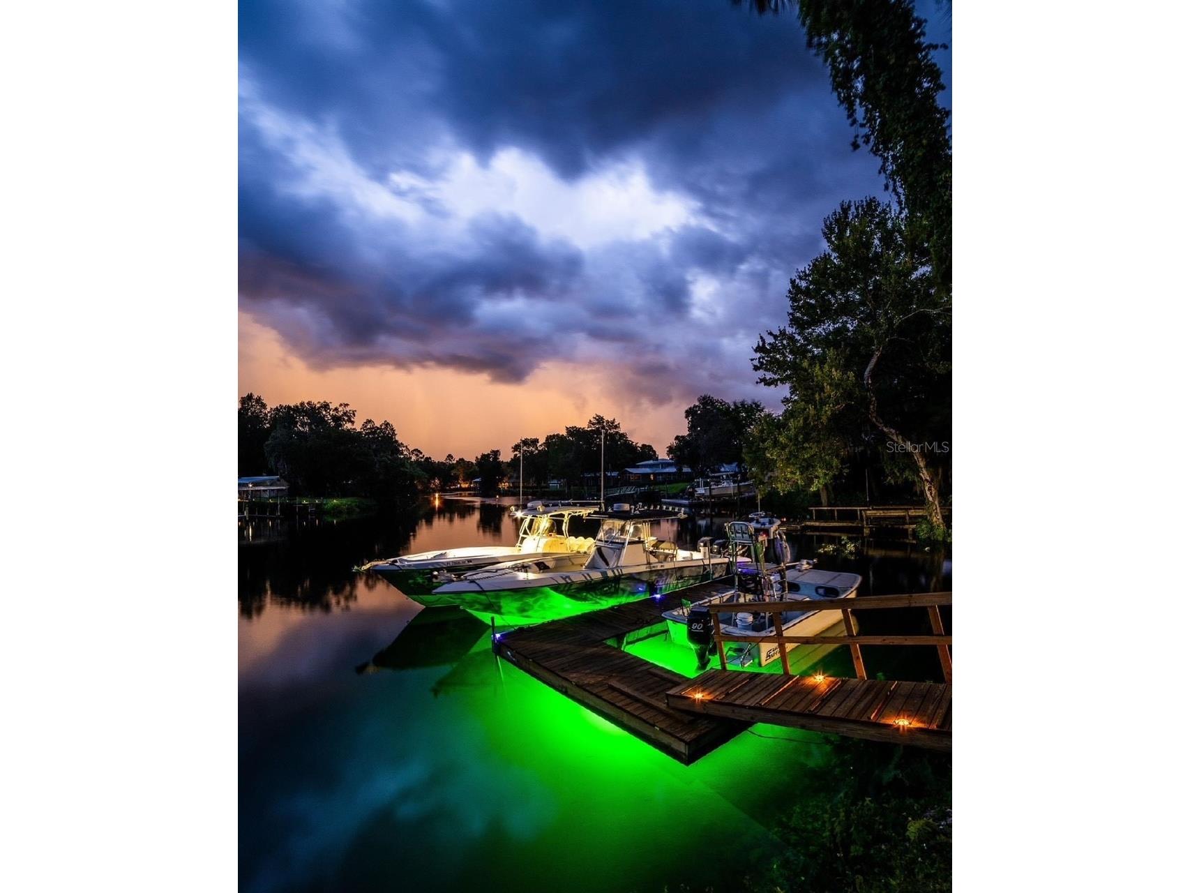 16645 W River Rd Inglis FL 34449 - WITHLACOOCHEE RIVER OM725269 image9